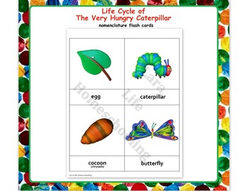 Lifecycle of a butterfly Hungry caterpillar A4 laminated poster class topic 