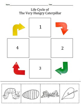 The Very Hungry Caterpillar Life Cycle color, cut & paste **FREEBIE**