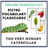The Very Hungry Caterpillar photo vocabulary flash cards