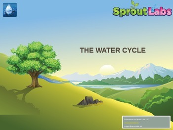 Preview of The Water Cycle