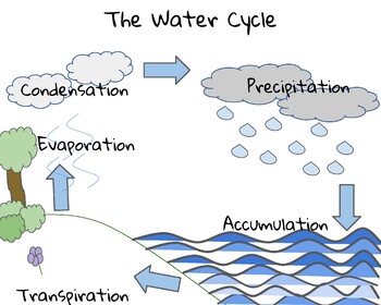 Water Cycle Anchor Chart