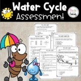 The Water Cycle| Assessment