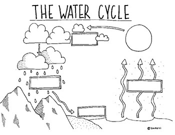 Preview of The Water Cycle (Blank)