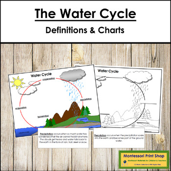 Preview of The Water Cycle Charts & Definitions (color & blackline masters)