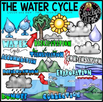 Preview of The Water Cycle Clip Art Bundle {Educlips Clipart}