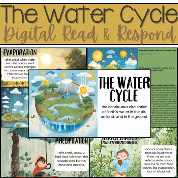 Preview of The Water Cycle - Digital Read & Respond