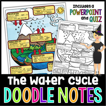 Preview of The Water Cycle Doodle Notes Graphic Organizer | Science Doodle Notes