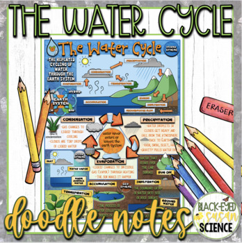 Preview of The Water Cycle Doodle Notes & Quiz