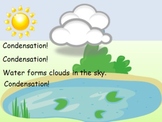 The Water Cycle: Evaporation, Condensation, Precipitation