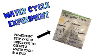 Preview of The Water Cycle Bag Experiment - PowerPoint/ Google Slide