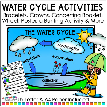 Preview of Water Cycle Activities - Posters, Word Bank & Definitions Kindergarten 1st Grade