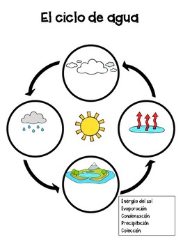 The Water Cycle Graphic Organizer by Teaching Dual Learners | TpT