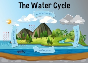 Preview of The Water Cycle Hyper Book 