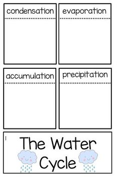 Preview of The Water Cycle Interactive Notebook
