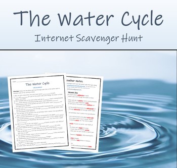 Preview of The Water Cycle (Internet Scavenger Hunt)