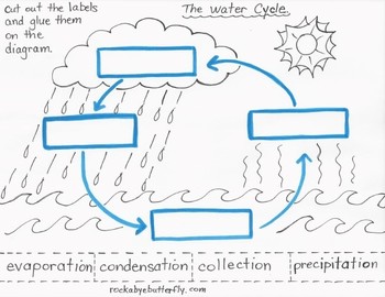 Preview of The Water Cycle Lesson Plan with Hand-Drawn Printables!