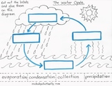 The Water Cycle Lesson Plan with Hand-Drawn Printables!