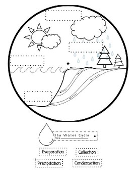 Preview of The Water Cycle Plate Activity