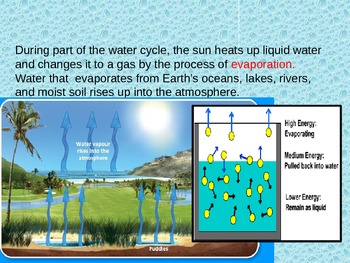 Preview of The Water Cycle Powerpoint! Colored & Interactive!
