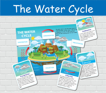Preview of The Water Cycle Printable Activity, Kids Nature Study, Earth Study.