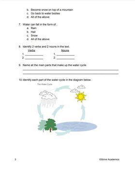 The Water Cycle Reading Comprehension Worksheet by Strive Academics