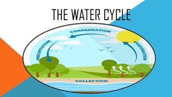 Preview of The Water Cycle : Science Mini-Lesson