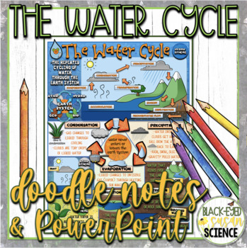 Preview of The Water Cycle Doodle Notes & Quiz + PowerPoint