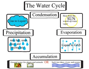 Preview of The Water Cycle, The Hydrologic Cycle, Activity for science notebook