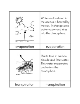 Preview of The Water Cycle - Three/Four Part Cards