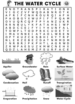 the water cycle word search activity by saving the teachers tpt