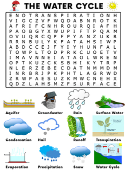 Preview of The Water Cycle Word Search Activity