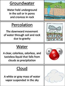 The Water Cycle Word Wall Cards by Science Spot | TpT