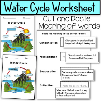 Preview of The Water Cycle Worksheet