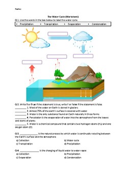 Preview of The Water Cycle - Worksheet | Easel Activity & Printable PDF