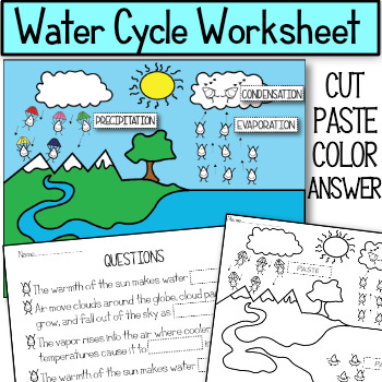 Preview of The Water Cycle Worksheet Version 2
