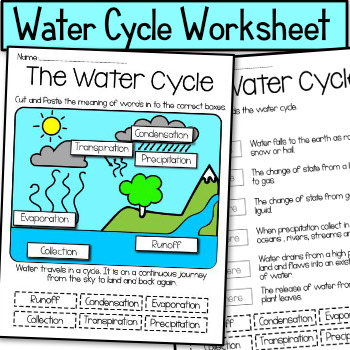Preview of The Water Cycle Worksheet Version 3