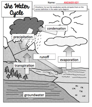 The Water Cycle cut & paste activity by Mrs Buckeye Nut | TpT