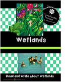 The Wetlands 2nd and 3rd Grade