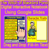 The Witch of Blackbird Pond Digital Interactive Notebook U
