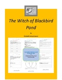 The Witch of Blackbird Pond Complete Literature and Grammar Unit