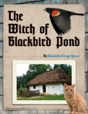 The Witch of Blackbird Pond — Hyperlinked PDF project to a