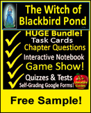 The Witch of Blackbird Pond Novel Study Free Sample