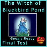 The Witch of Blackbird Pond TEST - Printable & SELF-GRADIN