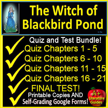 The Witch Of Blackbird Pond Novel Study Print Self Grading Google Forms