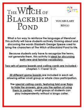 The Witch of Blackbird Pond Vocabulary Bingo by LEARNING FUN | TpT