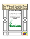 The Witch of Blackbird Pond guided reading novel study
