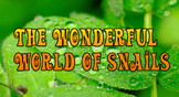 The Wonderful World of Snails (Keynote)