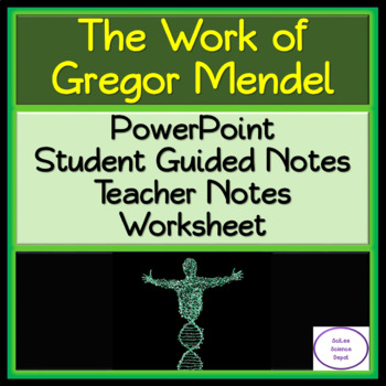 Preview of The Work of Gregor Mendel: PowerPoint, Student Guided Notes, and Worksheet