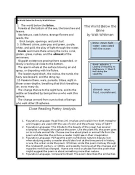 Preview of The World Below the Brine by Whitman Close Reading Poem Analysis