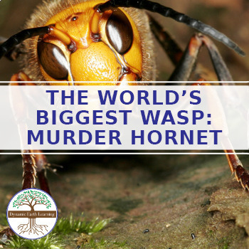 Preview of The World's Biggest Wasp: Murder Hornet - Google Worksheet